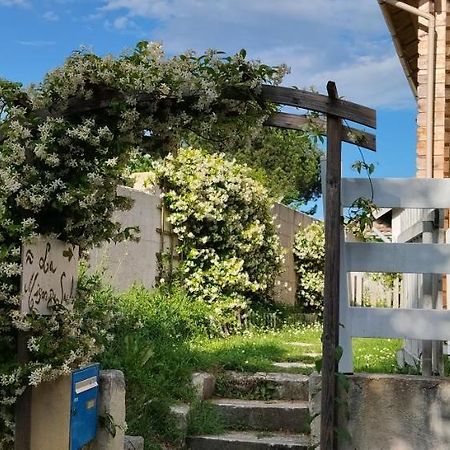 La Maison Du Saule Pompignac Kültér fotó
